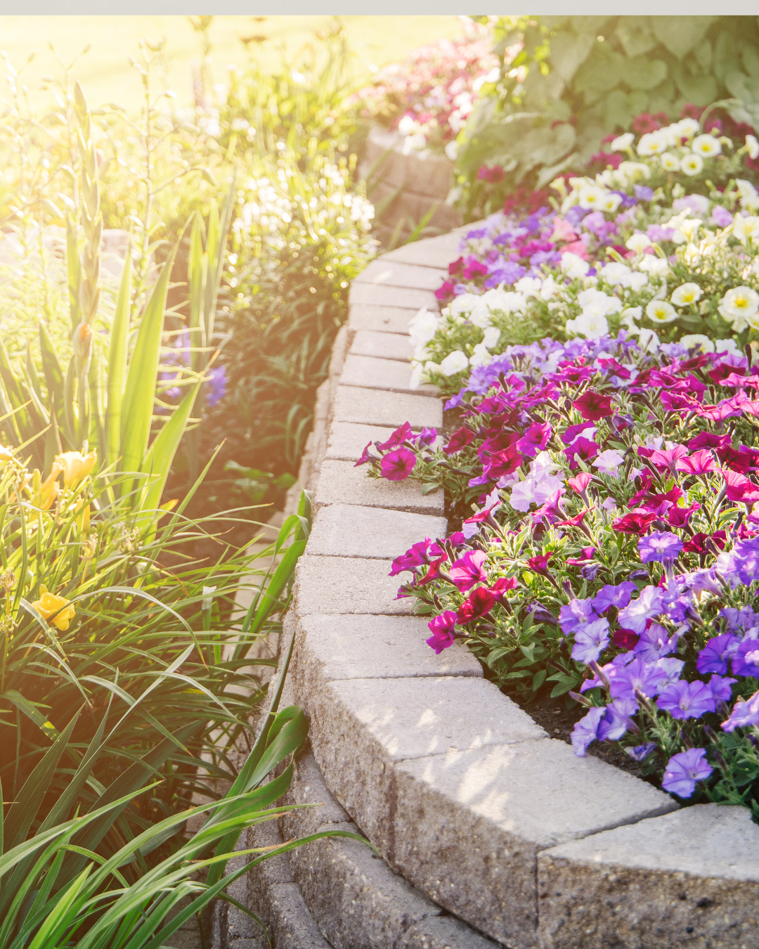 Front Flower Beds