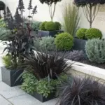 Black Plants