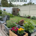 Budget Garden Ideas